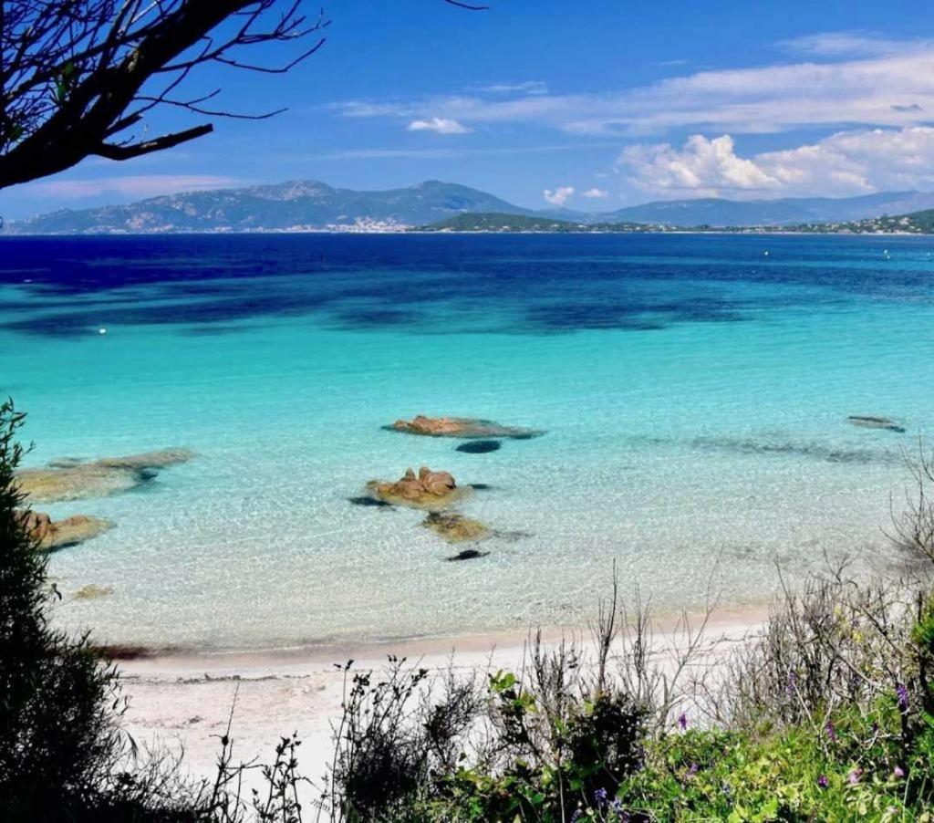 Nouveaute! Magnifique Villa A 2 Minutes Des Plus Belles Plages De La Rive Sud Porticcio  Exterior foto
